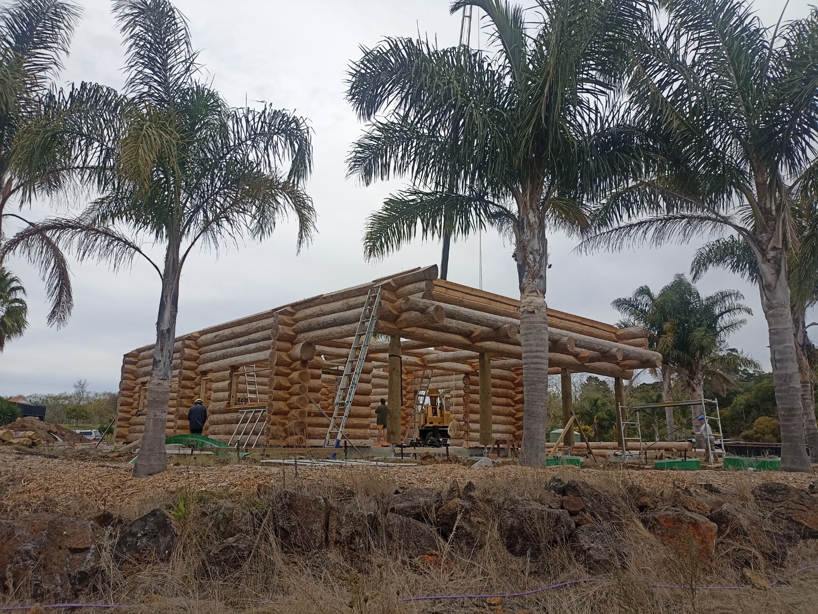 Log estate under construction at the New Zealand site